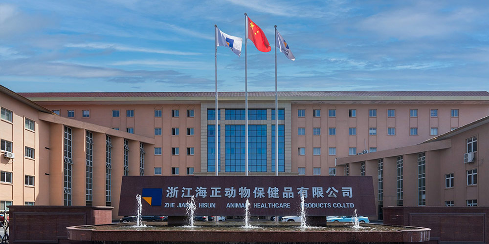 公益运动 | 国际导盲犬日，，，，hjc888黄金城动保联合中国导盲犬大连培训基地，，，，一起守护心中的那束光！_hjc888黄金城动保