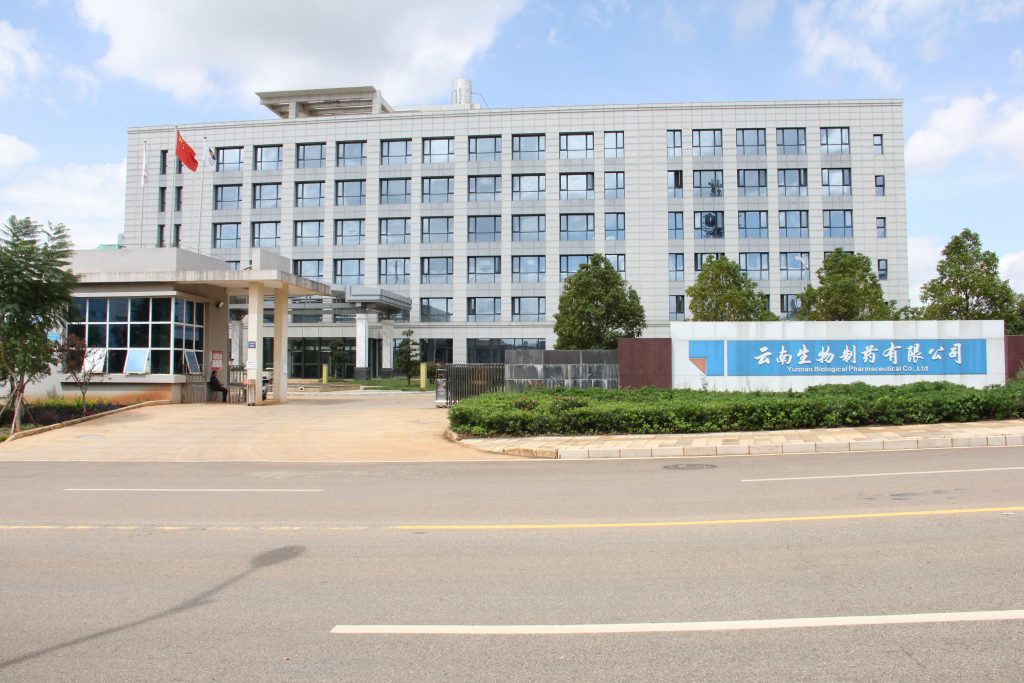 公益运动 | 国际导盲犬日，，，，hjc888黄金城动保联合中国导盲犬大连培训基地，，，，一起守护心中的那束光！_hjc888黄金城动保