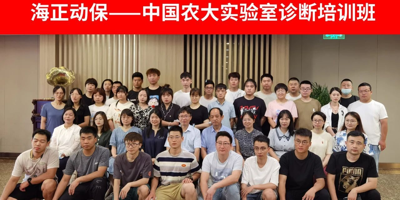 公益运动 | 国际导盲犬日，，，，hjc888黄金城动保联合中国导盲犬大连培训基地，，，，一起守护心中的那束光！_hjc888黄金城动保