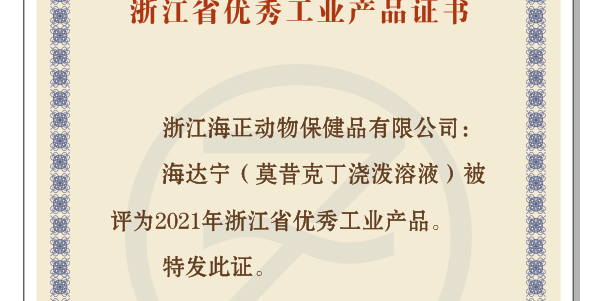 公益运动 | 国际导盲犬日，，，，hjc888黄金城动保联合中国导盲犬大连培训基地，，，，一起守护心中的那束光！_hjc888黄金城动保